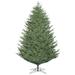 Vickerman 411711 - 14' x 104" Artificial Full Deluxe Frasier Fir Tree with 2,600 Multi Color LED Lights Christmas Tree (G162497LED)