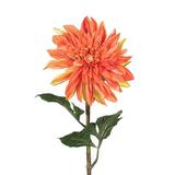 Vickerman 460481 - 28" Dahlia Stem Orange (FQ172004) Home Office Flowers with Stems