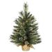 Vickerman 426524 - 2' Artificial Mix Snow Tip Pine Tree w/Burlap Base 35 Clear Lights Christmas Tree (B166425)