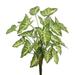 Vickerman 459201 - 22" Syngonium Bush W/25 Lvs.-Green (FB171901) Home Office Picks and Sprays