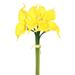 Vickerman 463130 - 14'' Calla Lily Bundle X 8-Yellow (FD170304) Home Office Flower Bundles