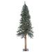 Vickerman 506844 - 6' x 33" Artificial Alpine Pine Tree with 250 Warm White LED Lights Christmas Tree (A807261LED)