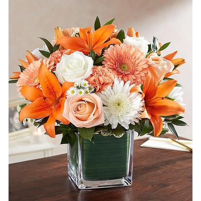 1-800-Flowers Everyday Gift Delivery Healing Tears Peach Orange & White Large | Happiness Delivered To Their Door