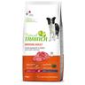 Multipack risparmio! 2 x 12 kg Natural Trainer Medium & Maxi - Medium Adult Manzo & Riso