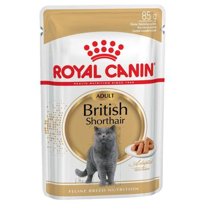 24 x 85 g Royal Canin Breed British Shorthair Katzenfutter Nass