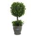 Vickerman 461242 - 13" Boxwood Topiary In Container (FK172601) Home Office Topiaries