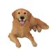 Hi-Line Gift Ltd. Lying Down Golden Retriever Figurine in Brown/Yellow | 14 H x 15.5 W x 25 D in | Wayfair 87795