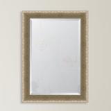 Melissa Van Hise Slight Concave Silver Crosshatch Resin Frame Wall Mirror Resin in Black | 35 H x 29 W x 0.875 D in | Wayfair MIR3602228