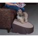 Pet Gear One Step Pet Ramp Plastic | 20 H x 10 W x 22 D in | Wayfair PG9700CH