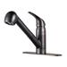 Pfister Pfirst Series Pull Out Single Handle Kitchen Faucet w/ Accessories in Brown | Wayfair G133-10YY