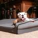 BuddyRest Crown Bolster Dog Bed Metal in Gray | 9 H x 40 W x 30 D in | Wayfair CS202