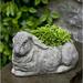 August Grove® Sachs Bunny Cast Stone Statue Planter Concrete | 7.25 H x 8 W x 12.25 D in | Wayfair AGTG5664 43865724