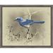 Ashton Wall Décor LLC 'Scrub Jay' Framed Photographic Print on Wrapped Canvas in Blue/Gray | 20.5 H x 25.5 W x 2 D in | Wayfair 4209