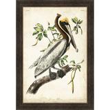 Ashton Wall Décor LLC 'Brown Pelican' Framed Painting Print Paper in Brown/Gray/Green | 41.5 H x 29.5 W x 1.38 D in | Wayfair 4265