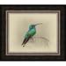 Ashton Wall Décor LLC 'Green Violet Ear Hummingbird' Framed Graphic Art Print on Canvas in Brown/Green/White | 11.75 H x 13.75 W x 1 D in | Wayfair