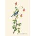 Buyenlarge Throated Warbler by James Audubon - Graphic Art Print in Green | 42 H x 28 W x 1.5 D in | Wayfair 0-587-03555-2C2842