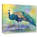 Bungalow Rose 'Peacock' Graphic Art on Wrapped Canvas Canvas, Cotton | 14 H x 18 W x 2 D in | Wayfair BLMT3614 41789042