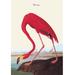 Buyenlarge Flamingo by John James Audubon Painting Print in Brown/Pink | 42 H x 28 W x 1.5 D in | Wayfair 0-587-03566-8C2842