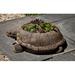 Campania International Turtle Stone Statue Planter Stone, Copper in Gray | 6.75 H x 19.5 W x 16 D in | Wayfair P-647-NN