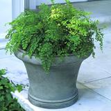 Campania International Westport Cast Stone Pot Planter Concrete | 13.5 H x 18 W x 18 D in | Wayfair P-365-PN