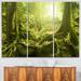 Design Art Forest w/ Sun - 3 Piece Photographic Print on Wrapped Canvas Set Canvas in Green | 28 H x 36 W x 1 D in | Wayfair PT6998-3P