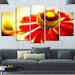 Design Art 'Beautiful Flower on Background' 5 Piece Photographic Print on Wrapped Canvas Set 32.0 H x 60.0 W x 1.0 D in brown/red/Canvas | Wayfair