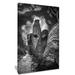 Design Art Mast of Columbine Collage - Wrapped Canvas Photograph Print Metal in Black/White | 40 H x 20 W x 1 D in | Wayfair PT9212-20-40