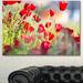 Design Art 'Beautiful Poppy Flowers View' Photographic Print on Wrapped Canvas in Red | 28 H x 60 W x 1.5 D in | Wayfair PT12620-60-28