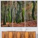 Design Art Autumn Forest in the Netherlands - 3 Piece Graphic Art on Wrapped Canvas Set Canvas in Green | 28 H x 36 W x 1 D in | Wayfair PT9775-3P