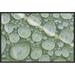 East Urban Home 'Water Droplets On Leaf, Annapolis Valley, Nova Scotia, Canada' Framed Photographic Print in Green | 16 H x 24 W x 1.5 D in | Wayfair