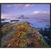 East Urban Home 'Iceplant Covering Coastal Rocks, Point Piedras Blancas, California' Framed Photographic Print in Gray/Indigo/Yellow | Wayfair