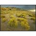 East Urban Home 'Sangre De Cristo Mountains At Great Sand Dunes National Monument, Colorado' Framed Photographic Print in Gray/Yellow | Wayfair