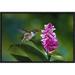 East Urban Home 'Scintillant Hummingbird Feeding At & Pollinating Flowers Of Epiphytic Orchid, Monteverde Cloud Forest Reserve | Wayfair