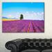 Design Art Remote House & Tree in Lavender Field - Wrapped Canvas Photograph Print Metal in Blue | 30 H x 40 W x 1 D in | Wayfair PT11389-40-30