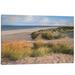 East Urban Home Sandy Shores by Assaf Frank - Gallery-Wrapped Canvas Giclée Print Metal in Brown/Green | 26 H x 40 W x 1.5 D in | Wayfair