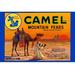 Buyenlarge 'Camel Mountain Pears' Vintage Advertisement Paper in Blue/Brown/Orange | 24 H x 36 W x 1.5 D in | Wayfair 0-587-21950-5C2436