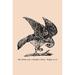 Buyenlarge The Hawk Has a Rabbit's Head. Where is it? - Graphic Art Print in Black/Gray | 30 H x 20 W x 1.5 D in | Wayfair 0-587-22121-6C4466