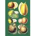 Buyenlarge Fruits & Nuts Graphic Art in Brown/Green/Yellow | 36 H x 24 W x 1.5 D in | Wayfair 0-587-08649-1C2436