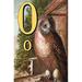 Buyenlarge O for the Owl That Sees in the Dark - Graphic Art Print in White | 36 H x 24 W x 1.5 D in | Wayfair 0-587-26773-9C2436