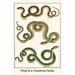 Buyenlarge Whip & A Clumbrine Snake by Albertus Seba - Unframed Graphic Art Print in White | 36 H x 24 W x 1.5 D in | Wayfair 0-587-29738-7C2436