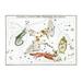 Buyenlarge Cygnus & Adjacent Constellations - Unframed Graphic Art Print in Brown/Green/Yellow | 28 H x 42 W x 1.5 D in | Wayfair