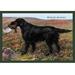 Buyenlarge Black Setter Framed Painting Print in Black/Brown | 44 H x 66 W x 1.5 D in | Wayfair 0-587-04385-7C4466