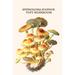 Buyenlarge 'Hypholoma Sulphur Tuft Mushroom' by Edmund Michael Graphic Art in Brown/Green/Yellow | 42 H x 28 W x 1.5 D in | Wayfair
