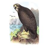 Buyenlarge Sea Eagle by Theodore Jasper Painting Print in Brown/Green | 66 H x 44 W x 1.5 D in | Wayfair 0-587-03808-xC4466