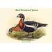 Buyenlarge Bernica Ruficollis Red Breatsed Goose - Graphic Art Print in Black/Brown/Green | 28 H x 42 W x 1.5 D in | Wayfair 0-587-32110-5C2842