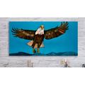 GreenBox Art 'Bald Eagle Blues' - by Eli Halpin Wrapped Canvas Print Canvas | 24 H x 48 W x 1.5 D in | Wayfair NB15847