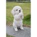 Hi-Line Gift Ltd. Dog-Poodle Puppy Playing in White | 8.6 H x 4.3 W x 5 D in | Wayfair 87703-B
