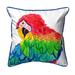 Betsy Drake Interiors Parrot Head Indoor/Outdoor Throw Pillow Polyester/Polyfill blend | 22 H x 22 W in | Wayfair ZP291