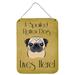 Caroline's Treasures Fawn Pug Spoiled Dog Lives Here by Denny Knight - Unframed Graphic Art Print on Metal Metal | 16 H x 12 W x 0.2 D in | Wayfair