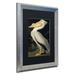 Trademark Fine Art 'American White Pelican' Framed Painting Print on Canvas Canvas, Wood | 20 H x 16 W x 0.5 D in | Wayfair BL01258-S1620BMF